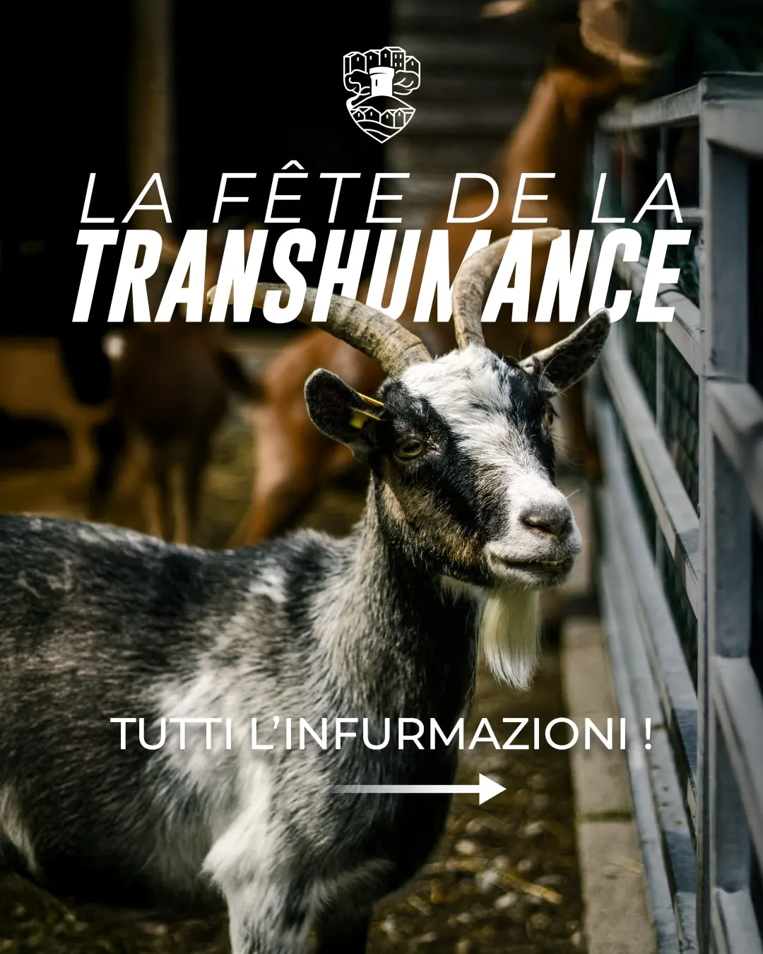 FÊTE DE LA TRANSHUMANCE